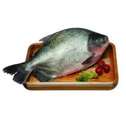 Pacu Tambaqui 1kg