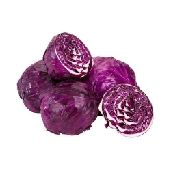 Repolho Roxo