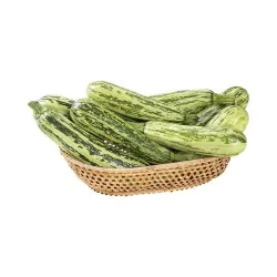 Abobrinha Verde Itália